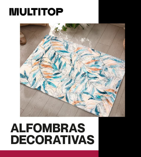catalogo51
