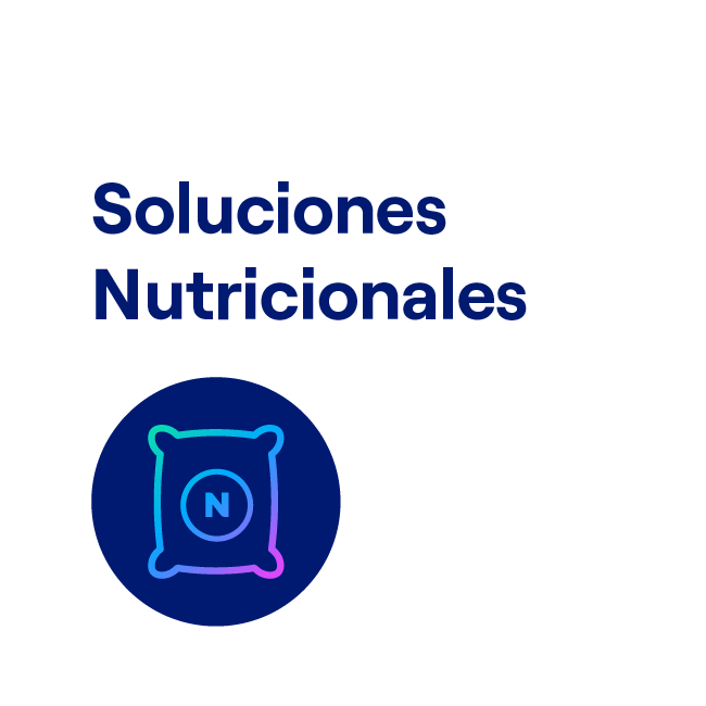 Soluciones Nutricionales (blanco)