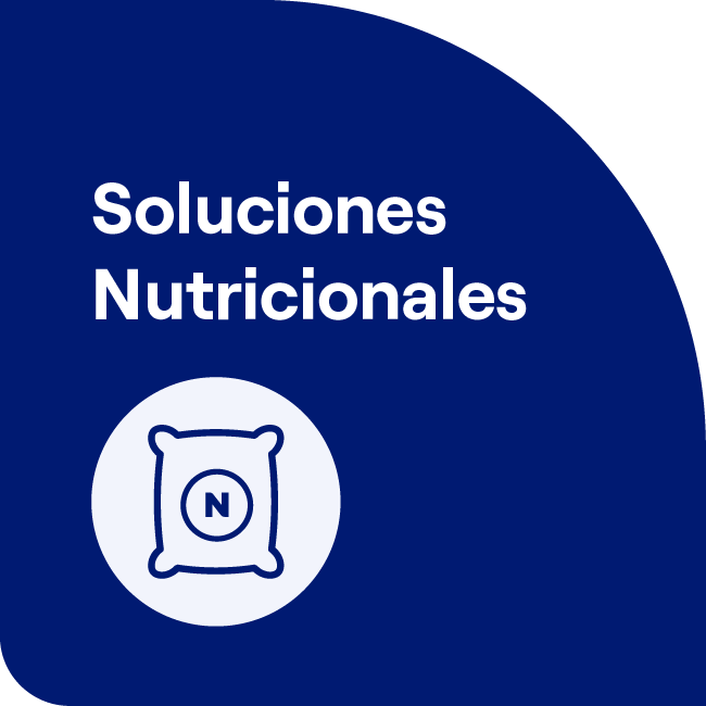 Soluciones Nutricionales (azul)