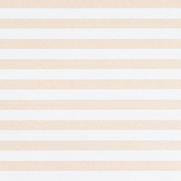 CAMERON STRIP BLANCO C/NUDE