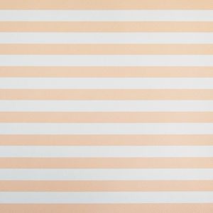 CAMERON STRIP PLUS BLANCO C/NUDE