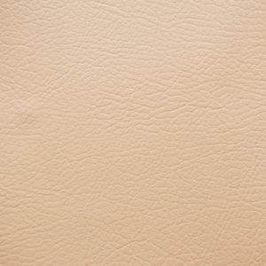 ANEKA BEIGE