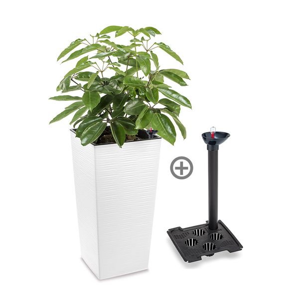 REYPLAST MACETA PIEDRA CUADRADA MED BLANCO + SIST CONTROL RIEGO