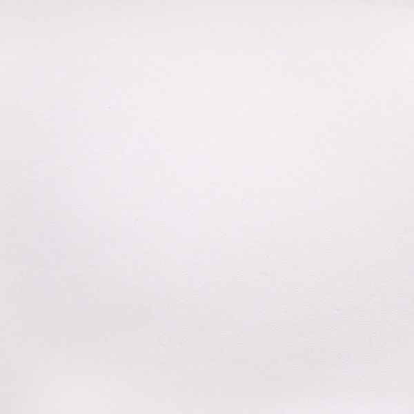 ETIQUETA PT-18 BLANCO