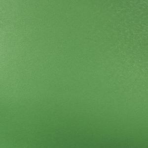 DOBLE FAZ ORIGINAL VERDE AMAZONAS 24