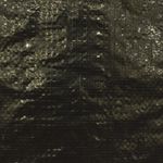ME000095227