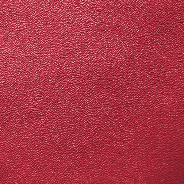 LINO BOX ROJO PERU 27