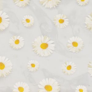 CUBREMESA TRANSP PVC MARGARITA BLANCO