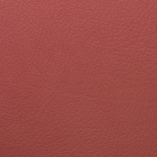 PRANNA CORAL