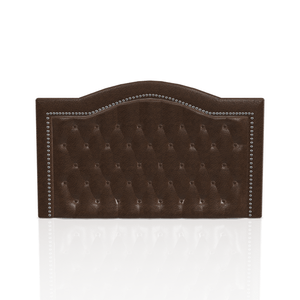 CABECERA PRINTELLA C.T PRANNA QUEEN ORO