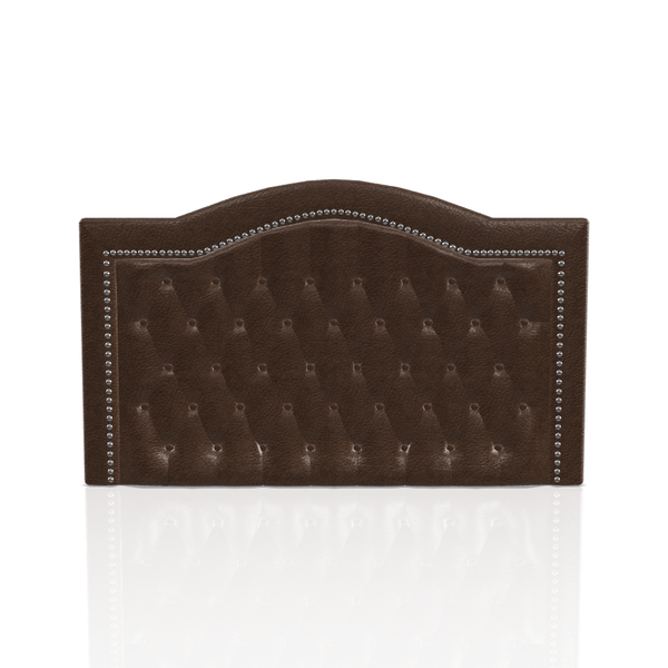 CABECERA PRINTELLA C.T PRANNA QUEEN ORO