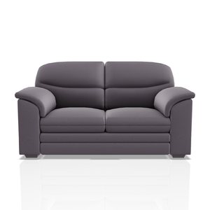 SOFA SANDERS PRANNA 2C GRIS
