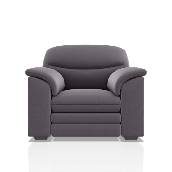 SOFA SANDERS PRANNA 1C GRIS