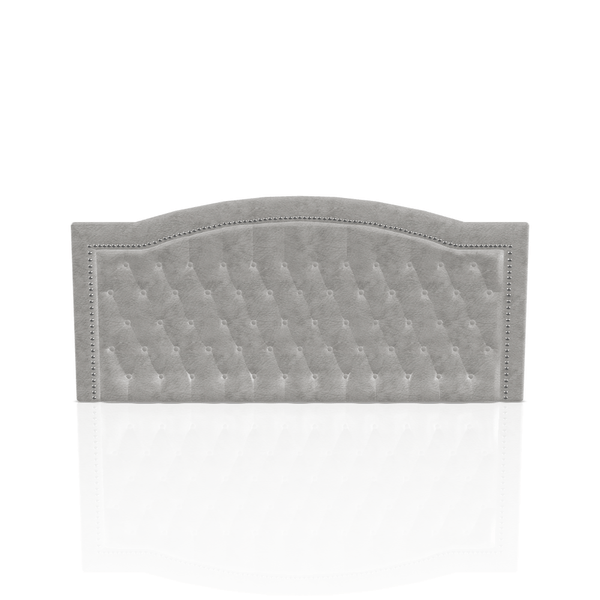 CABECERA PRINTELLA C.T PRANNA KING PLATA