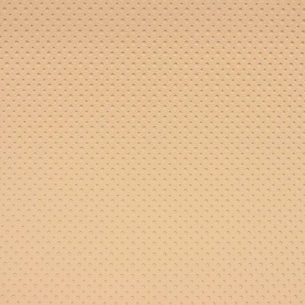 TITANIUM VARIATION MARFIL 1587103