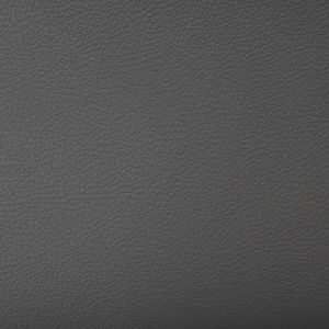 TITANIUM AUSTIN CHARCOAL 1488284