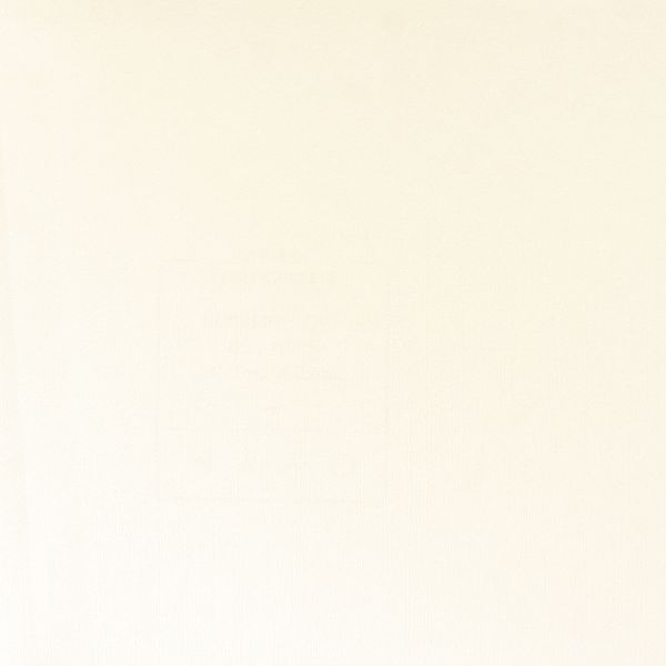 PAPEL TAPIZ REIRA 0.52X10 MTS VAINILLA