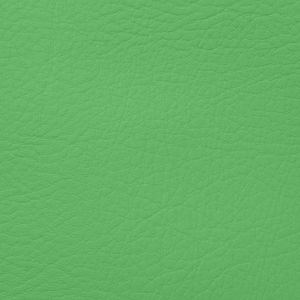 PRANNA VERDE