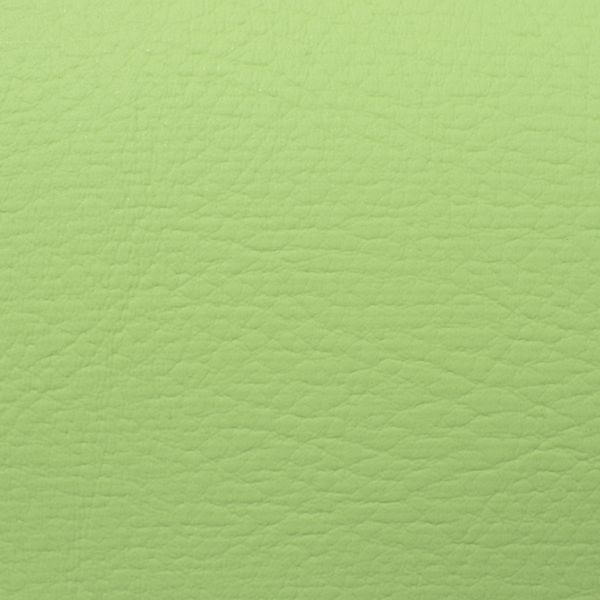 PRANNA VERDE MANZANA