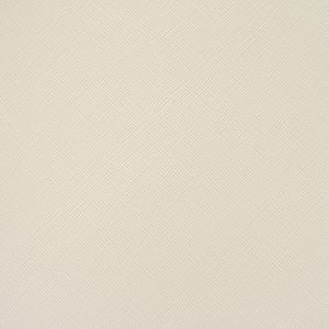 NEW CAMERON BLANCO