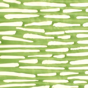 CORTINA PVC CENTELLA VERDE 04