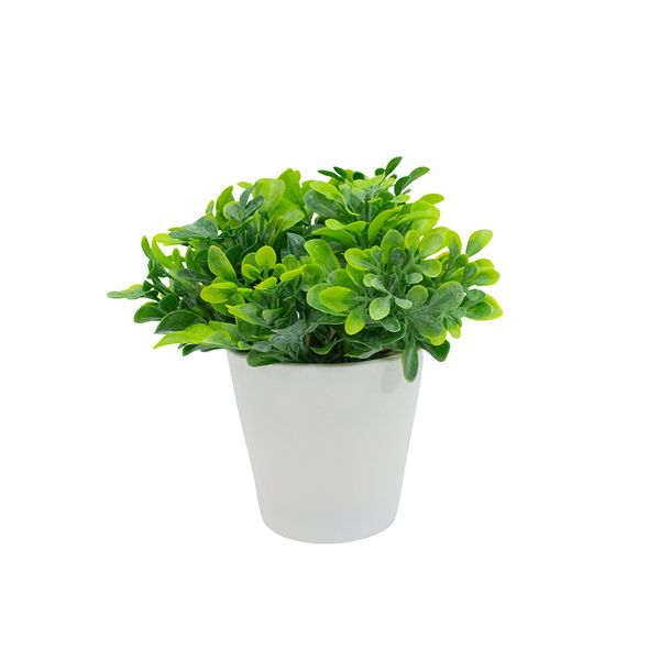 PLANTA ARTIFICIAL C/MACETA RUDA I 15X8 CM VERDE (00129-1)