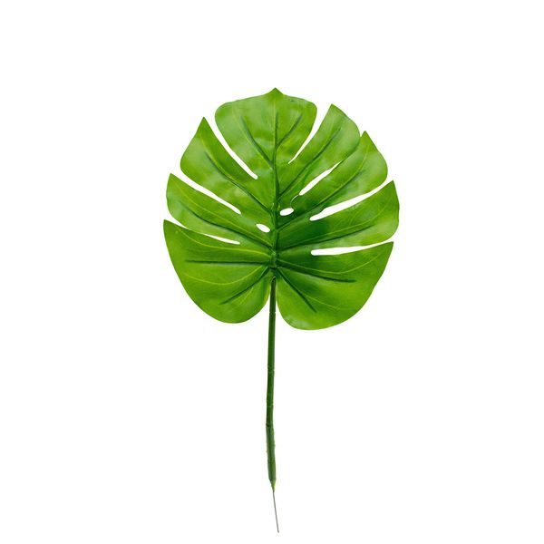 PLANTA ARTIFICIAL HOJA COSTILLA DE ADAM 38X20 CM VERDE (SY01440)