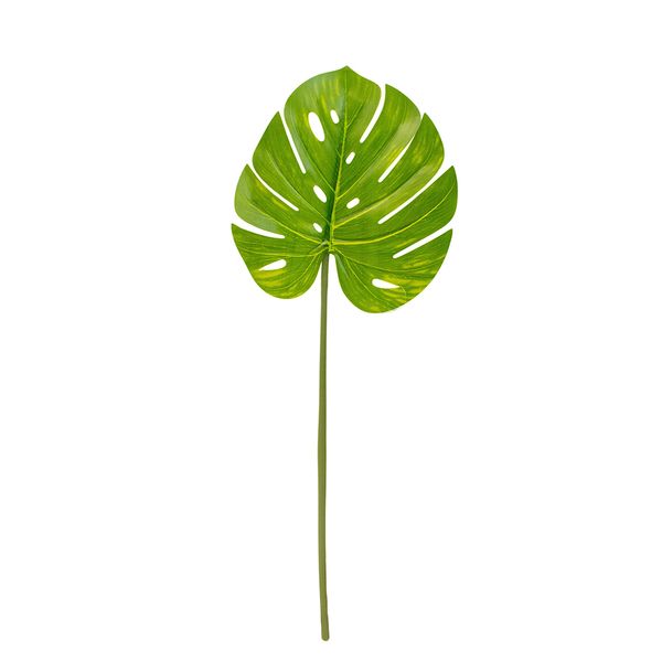 PLANTA ARTIFICIAL HOJA COSTILLA DE ADAM 76X26 CM VERDE (8165)