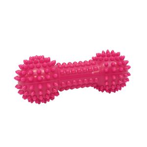 JUGUETE P/PERRO HUESO PLASTICO GRANDE FUCSIA