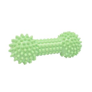 JUGUETE P/PERRO HUESO PLASTICO PASTEL GRANDE VERDE