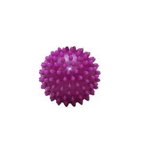 VINIBALL PELOTA MASCOTA PUAS CHICO MORADO
