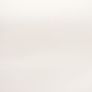 LINO LIVIANO BLANCO 01