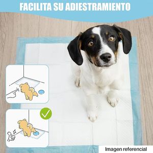 PAÑAL DE ENTRENAMIENTO MASCOTA 20 PCS XL