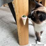 ME000305176