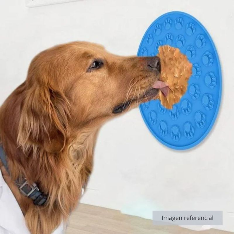 MASCOTA-1