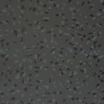 ME000308641_1