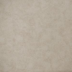 PAPEL TAPIZ NATURE CASSIA 0.52X10 MTS GRIS CLARO
