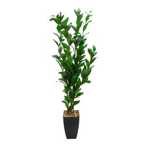 PLANTA ARTIFICIAL TROPICAL CLEYERA 120CM VERDE (HT-SL003)