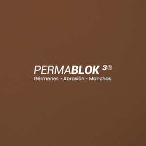 PRANNA CAMEL