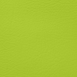 PRANNA LIME PUNCH