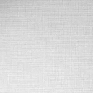 PAPEL TAPIZ SECRET GARDEN HESSIAN 0.52X10 MTS WHITE