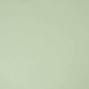 PAPEL TAPIZ PARADISE LYNN 0.52X10 MTS GREEN