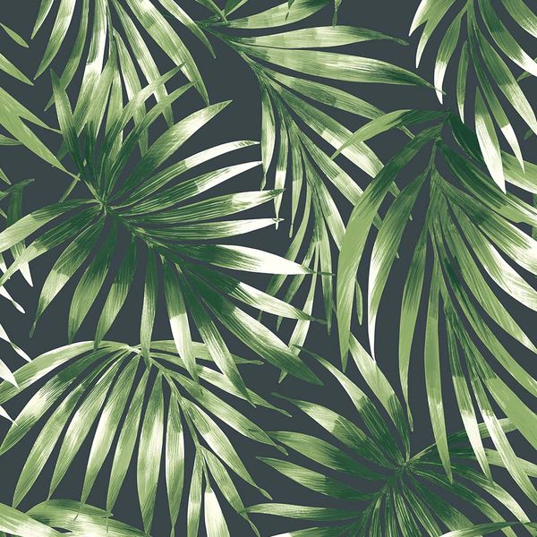 PAPEL TAPIZ OASIS ELEGANT LEAVES 0.52X10 MTS GREEN
