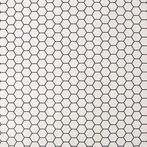 PAPEL TAPIZ OASIS HEXAGON LATTICE 0.52X10 MTS WHITE
