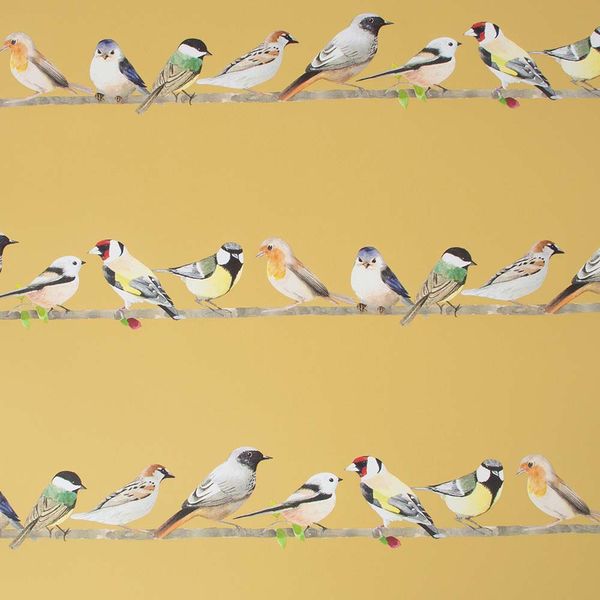 PAPEL TAPIZ TWEETING OCHRE 0.52X10 MTS OCHRE