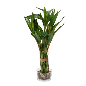 PLANTA ARTIFICIAL BAMBU 7X7X40CM MARRON (FLW63-002)