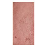 TERRA RED -2-