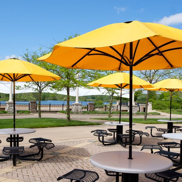 LONA CONCORD 1.50M AMARILLO GUAYACAN