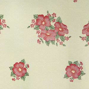 ULTRA HULE ENCAJE CREMA 28