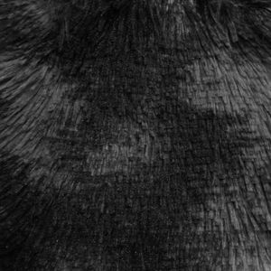 Tela Peluche Marbella Negro